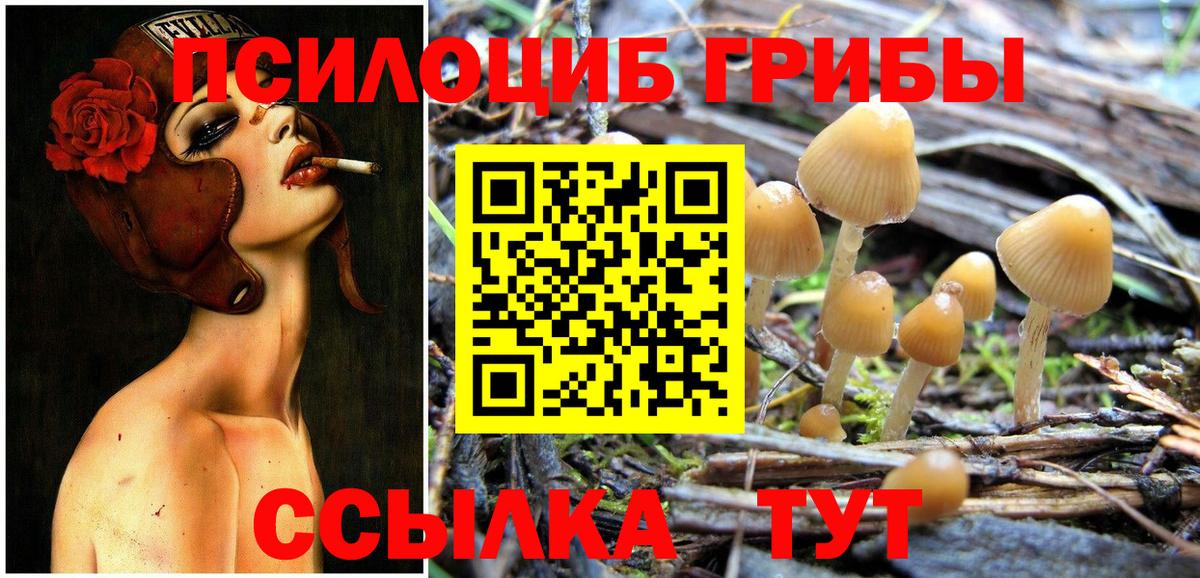 Каннабис  MDMA  Cocaine  Меф МЯУ МЯУ   Вход с VPN  Бузулук  ГАШИШ  Экстази 