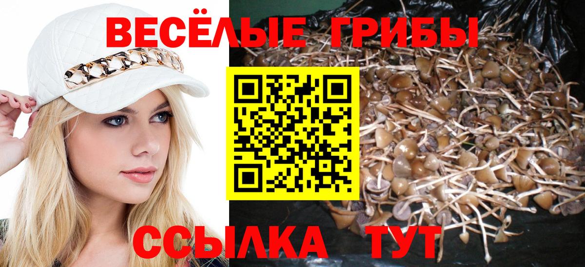 Галлюциногенные грибы Cubensis  Псилоцибиновые грибы GOLDEN TEACHER  Вход с VPN  Бузулук 